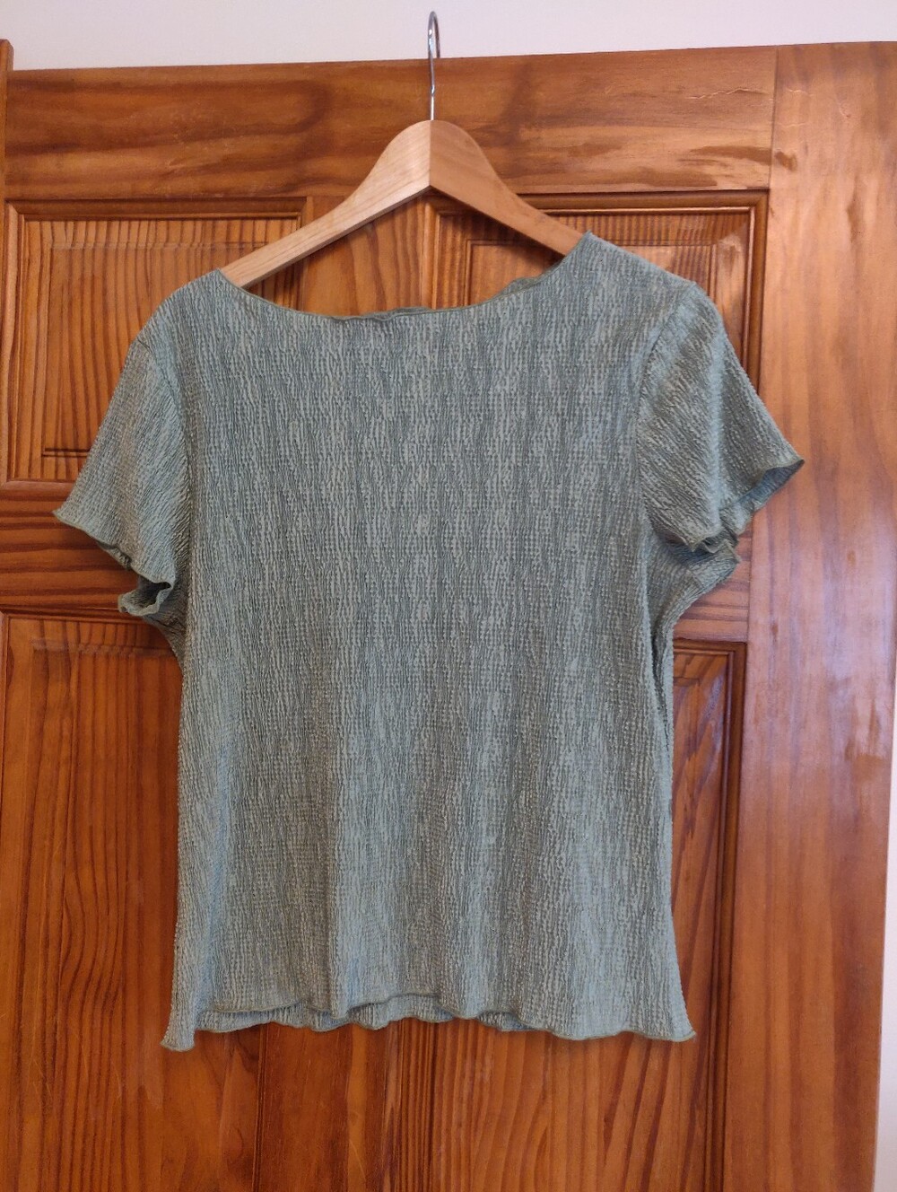 dressbarn Sage Green Textured Short-Sleeve Top